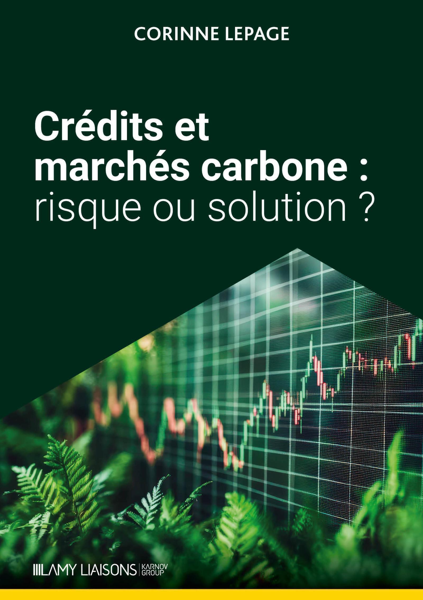 CREDITS ET MARCHES CARBONE : RISQUE OU SOLUTION ?