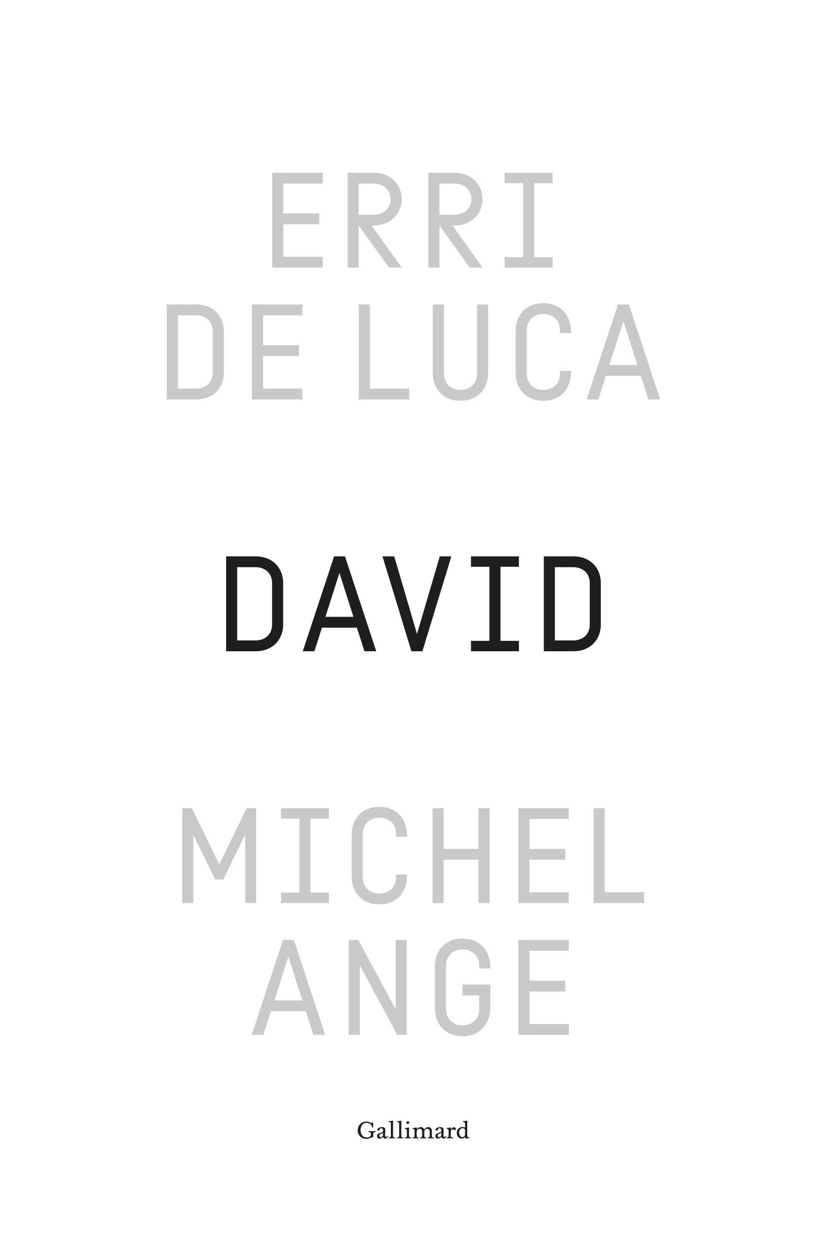 DAVID, MICHEL-ANGE - ENQUETE SUR UNE DISPROPORTION