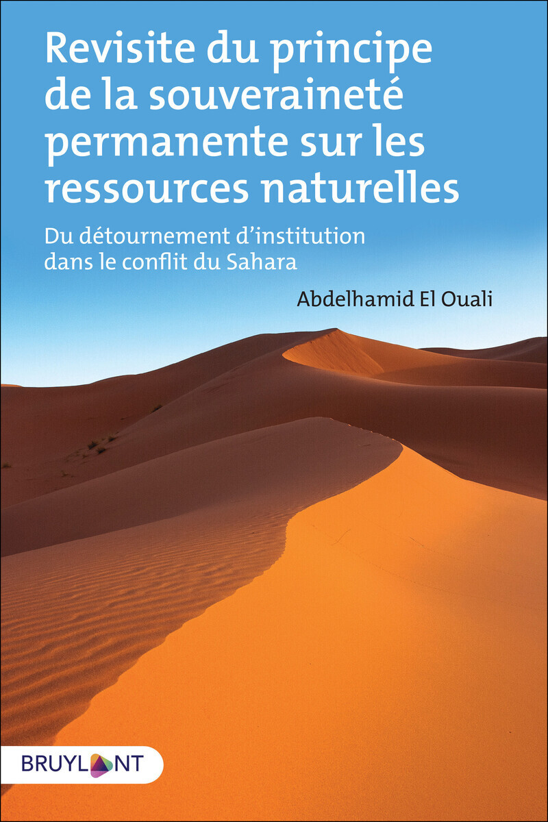 REVISITE DU PRINCIPE DE LA SOUVERAINETE PERMANENTE SUR LES RESSOURCES NATURELLES - DU DETOURNEMENT D