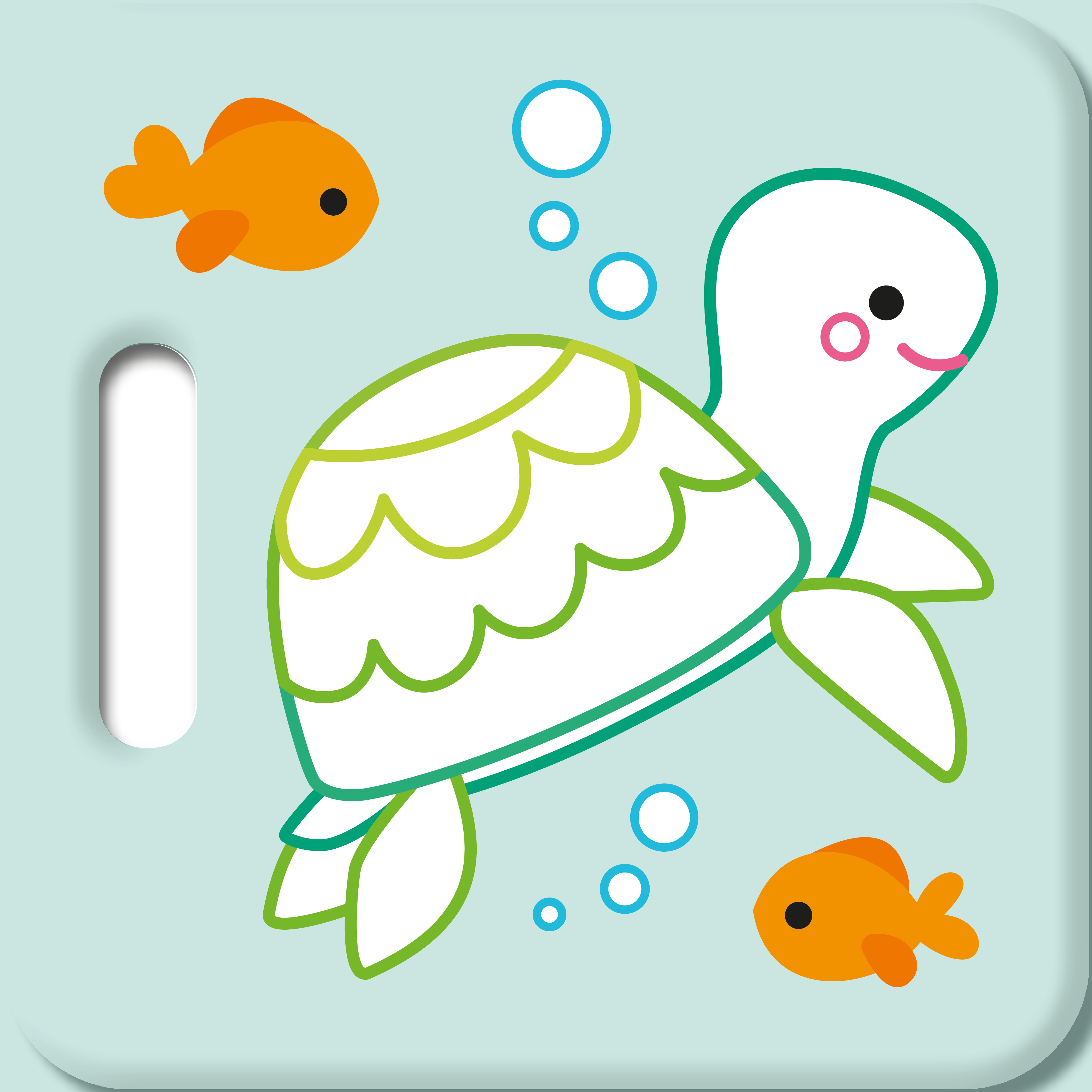 TORTUE AQUACADABRA