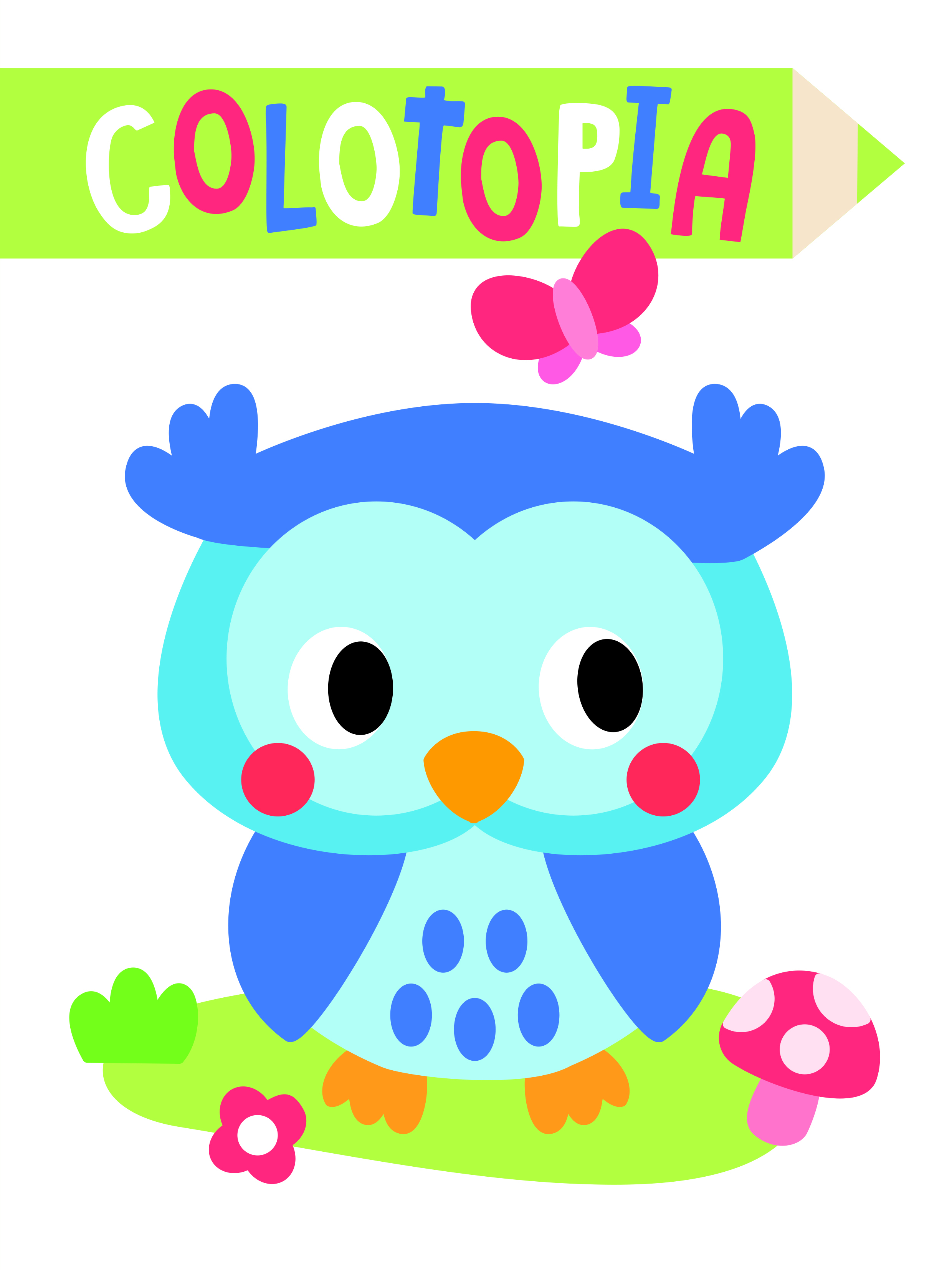 HIBOU COLORIAGE