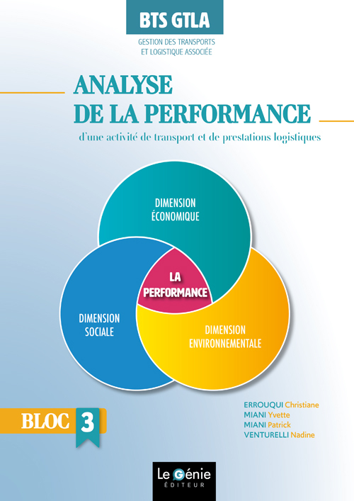 ANALYSE DE LA PERFORMANCE D´UNE ACTIVITE DE TRANSPORTS ET DE PRESTATIONS LO