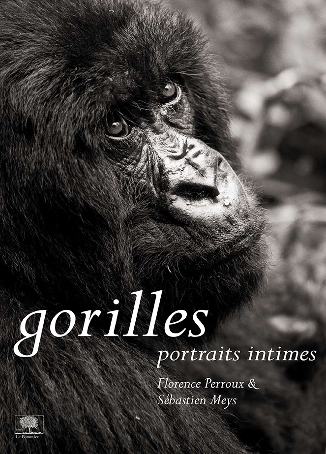 GORILLES PORTRAITS INTIMES