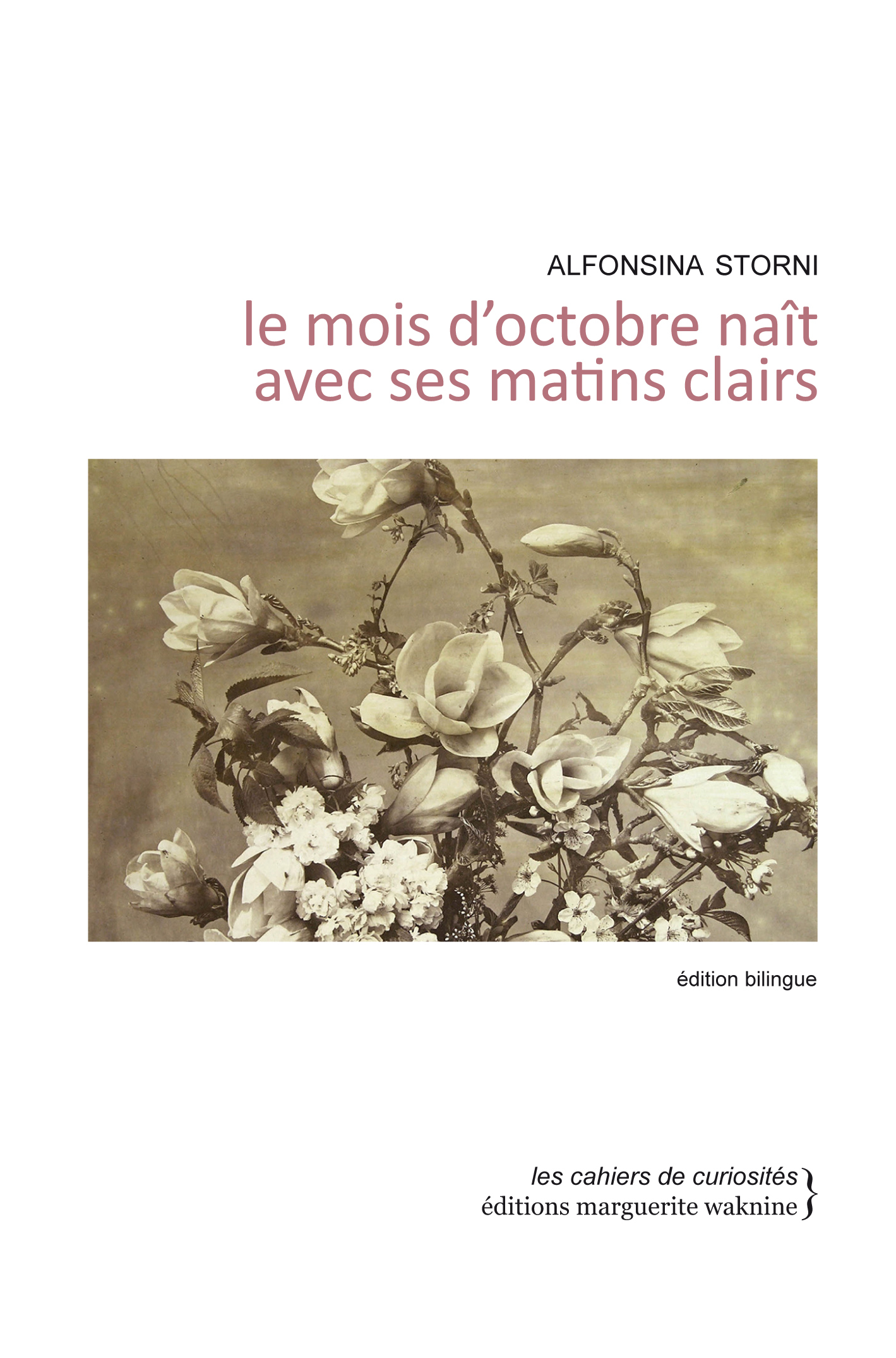 MOIS D OCTOBRE NAIT AVEC SES MATINS CLAIRS