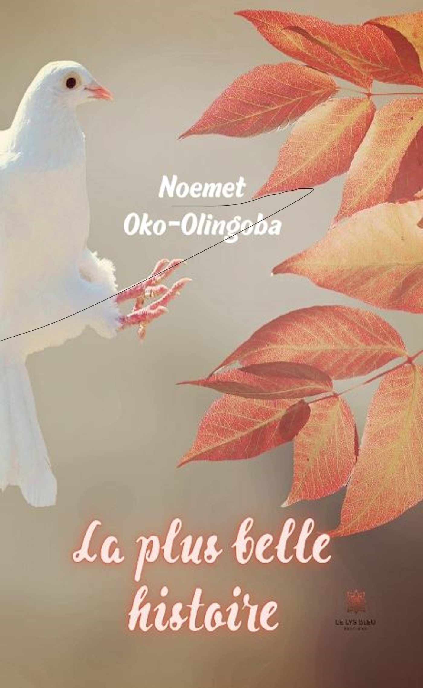 LA PLUS BELLE HISTOIRE