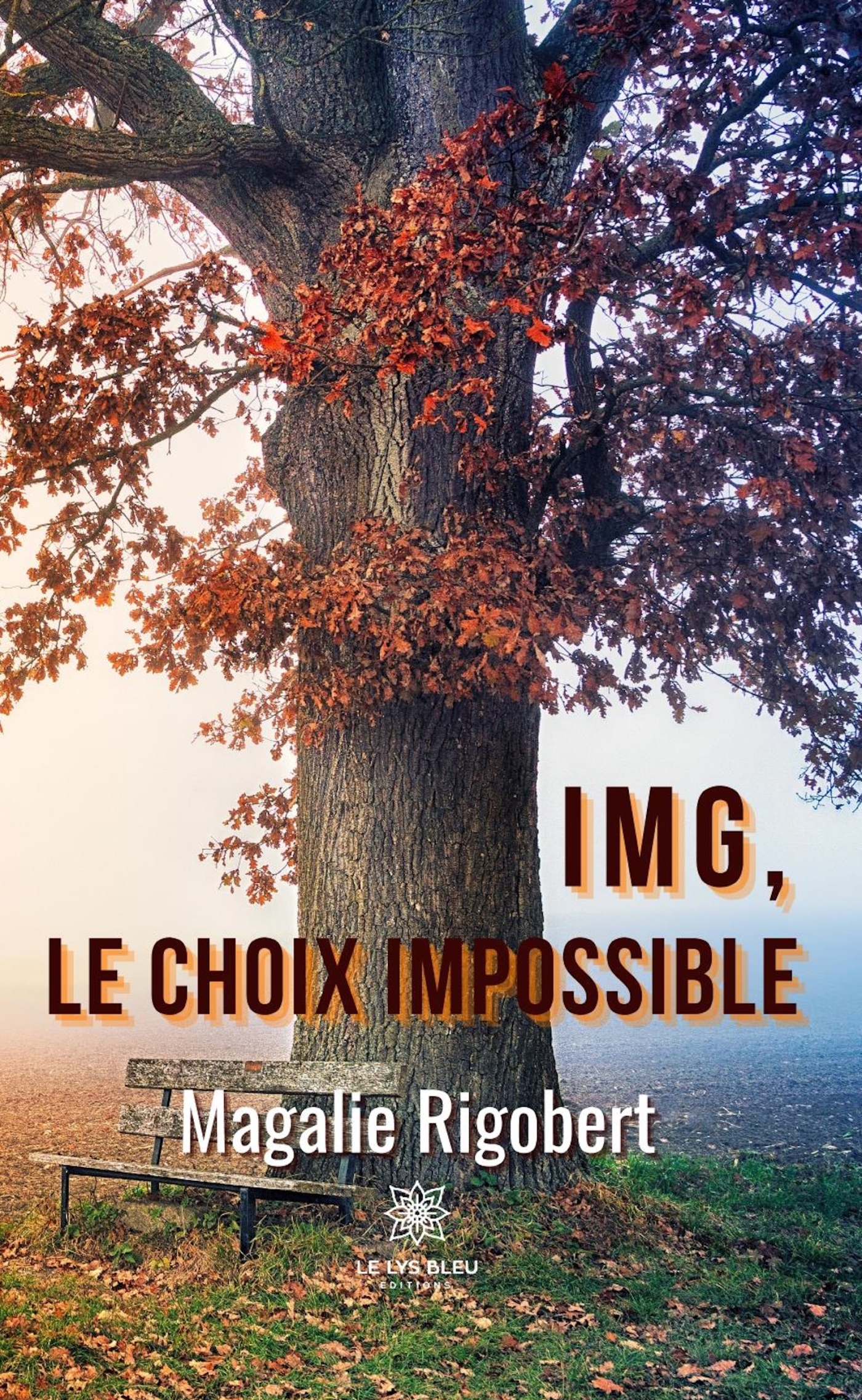 IMG,LE CHOIX IMPOSSIBLE