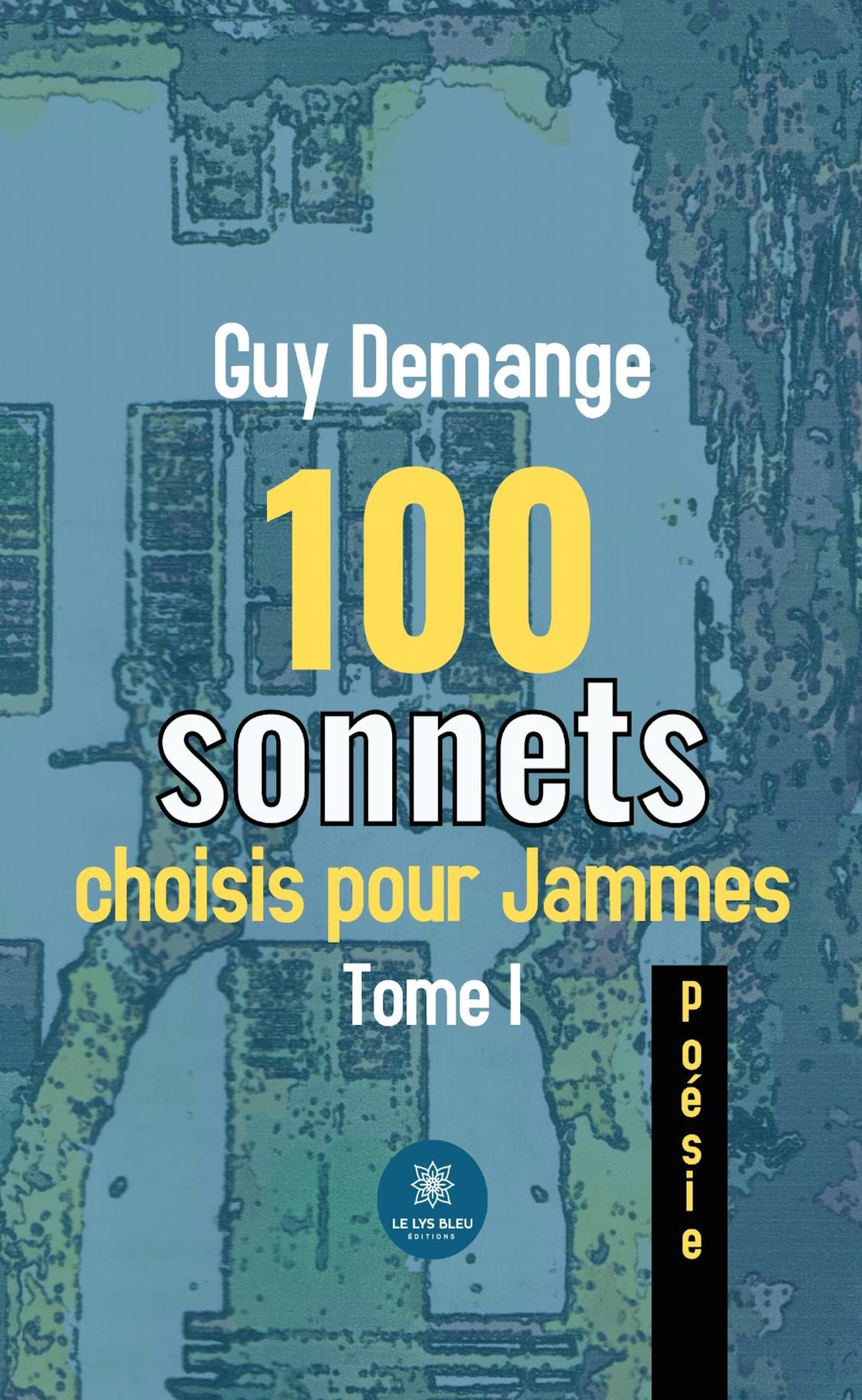 100 SONNETS CHOISIS POUR JAMMES - TOME I