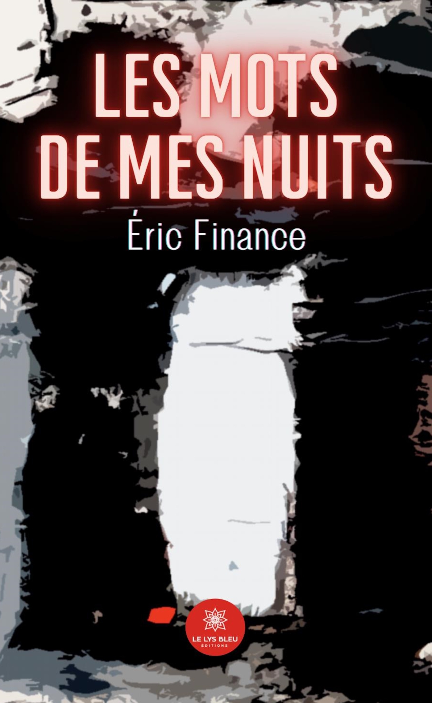 LES MOTS DE MES NUITS