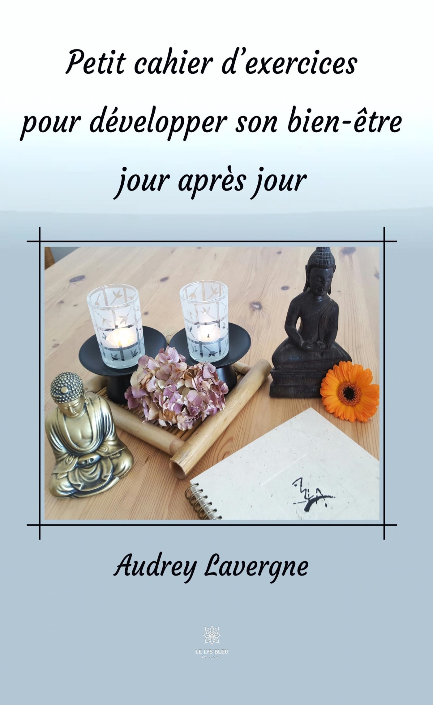 PETIT CAHIER D´EXERCICES POUR DEVELOPPER SON BIEN-ETRE JOUR APRES JOUR