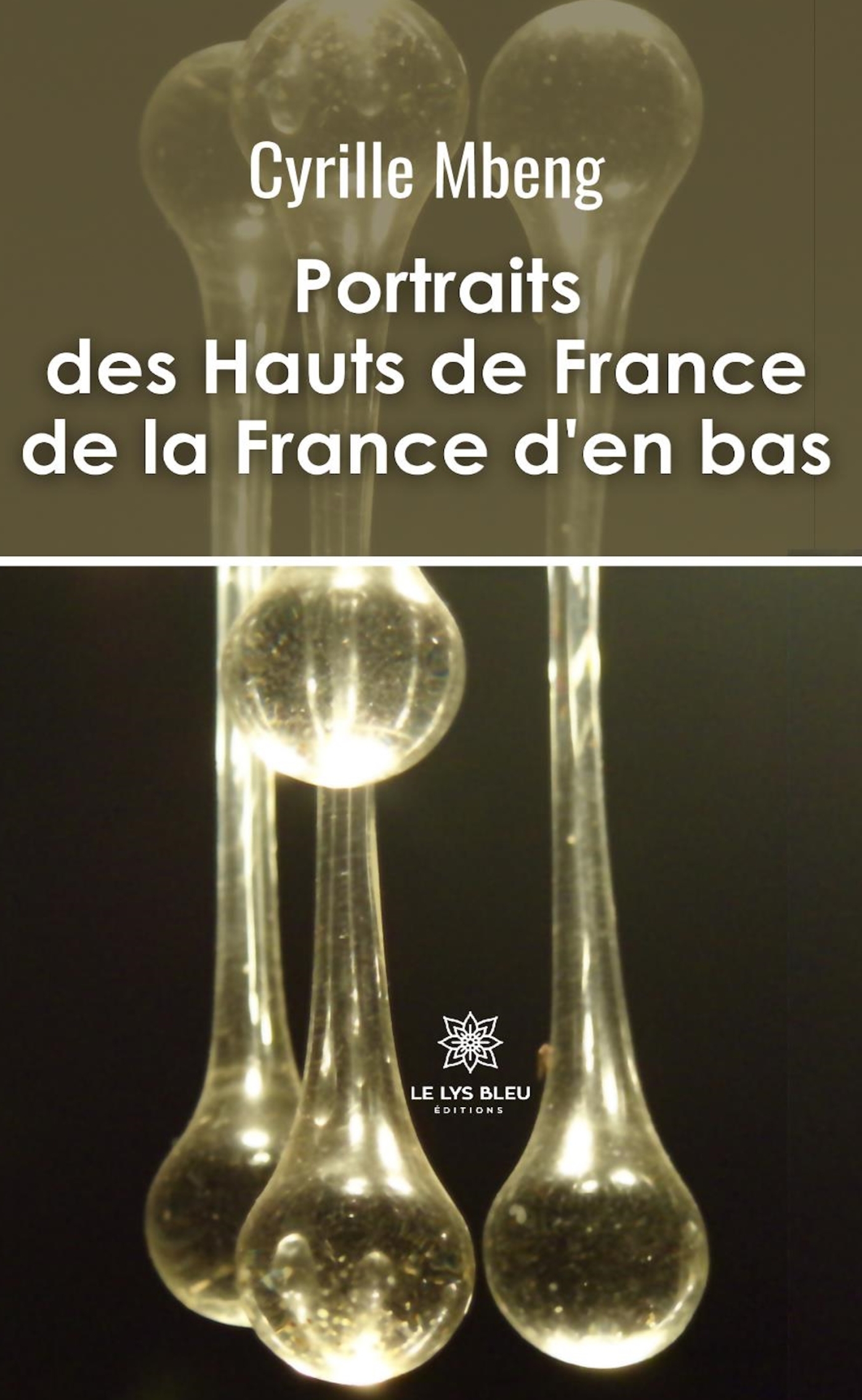 PORTRAITS DES HAUTS DE FRANCE DE LA FRANCE D´EN BAS