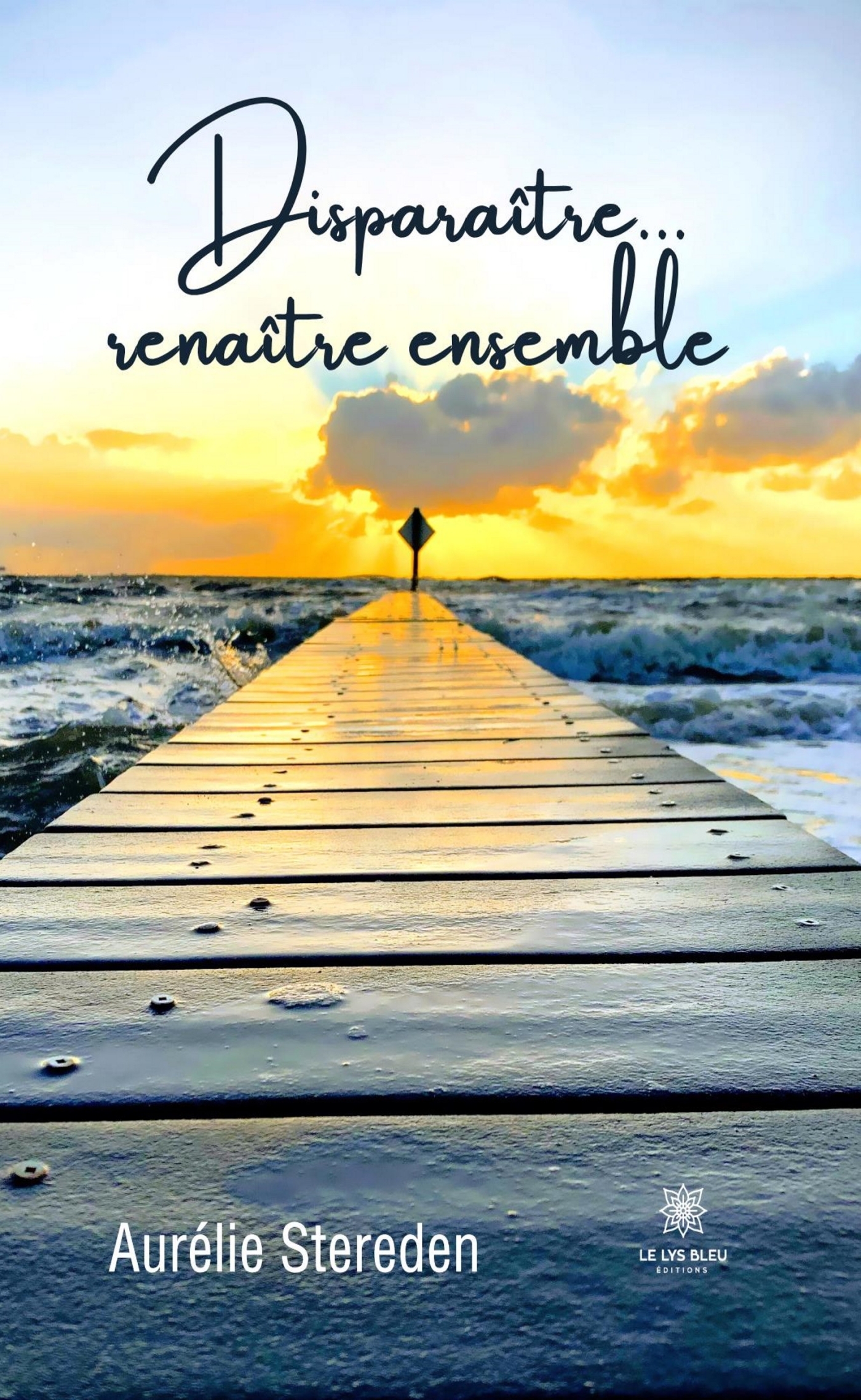 DISPARAITRE... RENAITRE ENSEMBLE