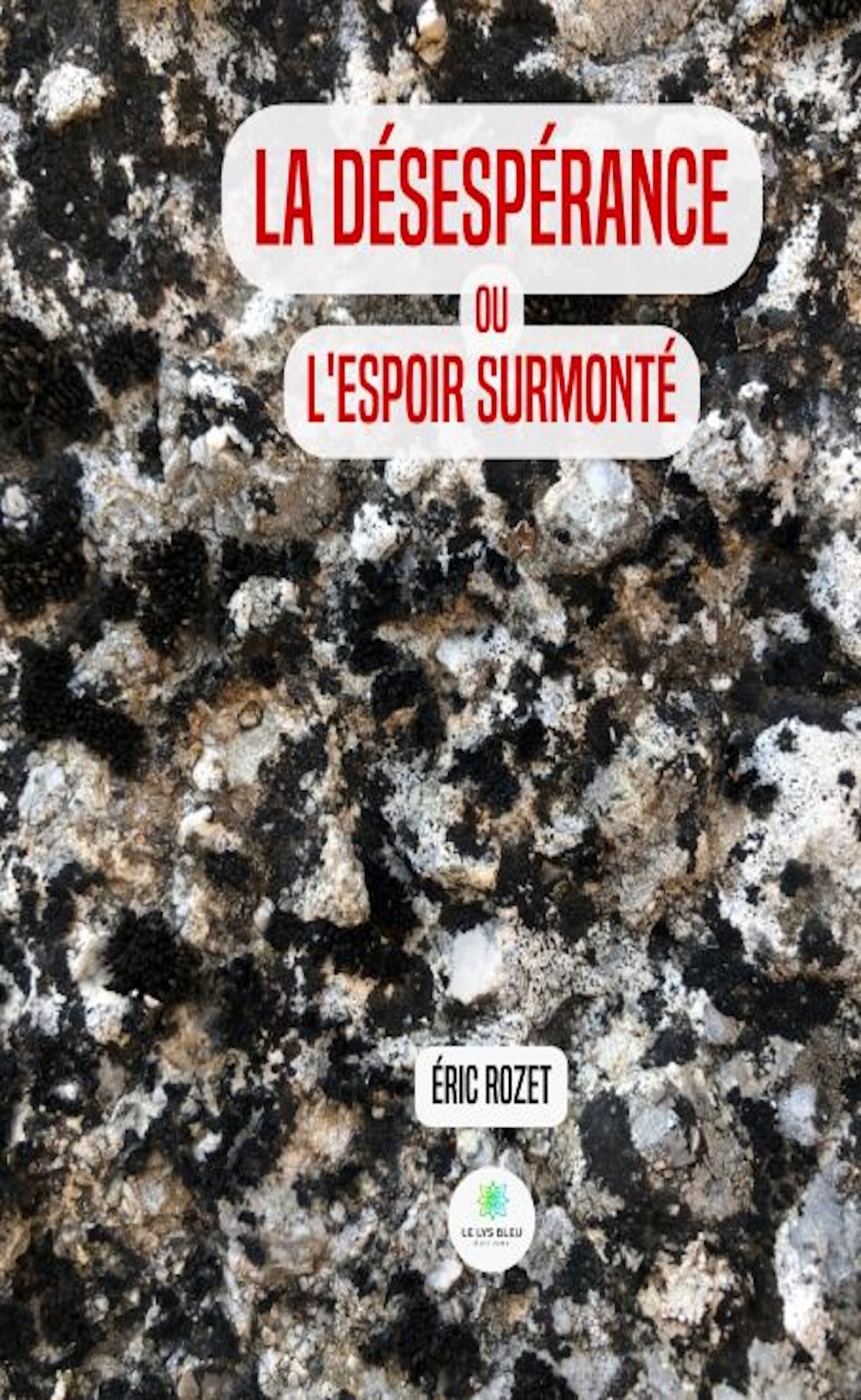 LA DESESPERANCE OU L´ESPOIR SURMONTE