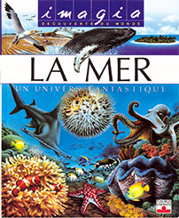 MER + PUZZLE