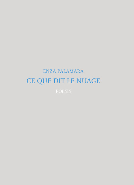 CE QUE DIT LE NUAGE