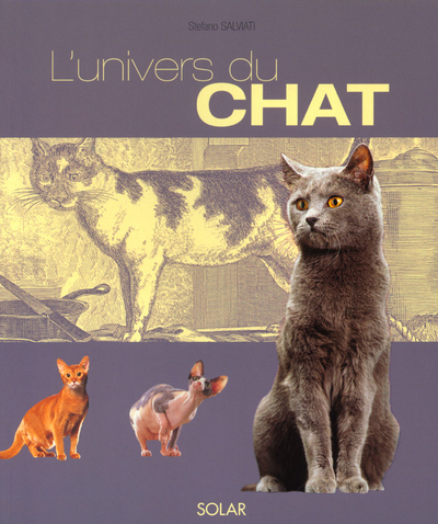 L´UNIVERS DU CHAT