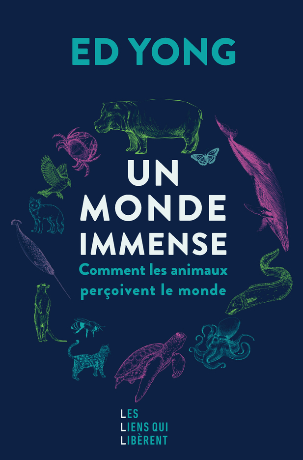 MONDE IMMENSE