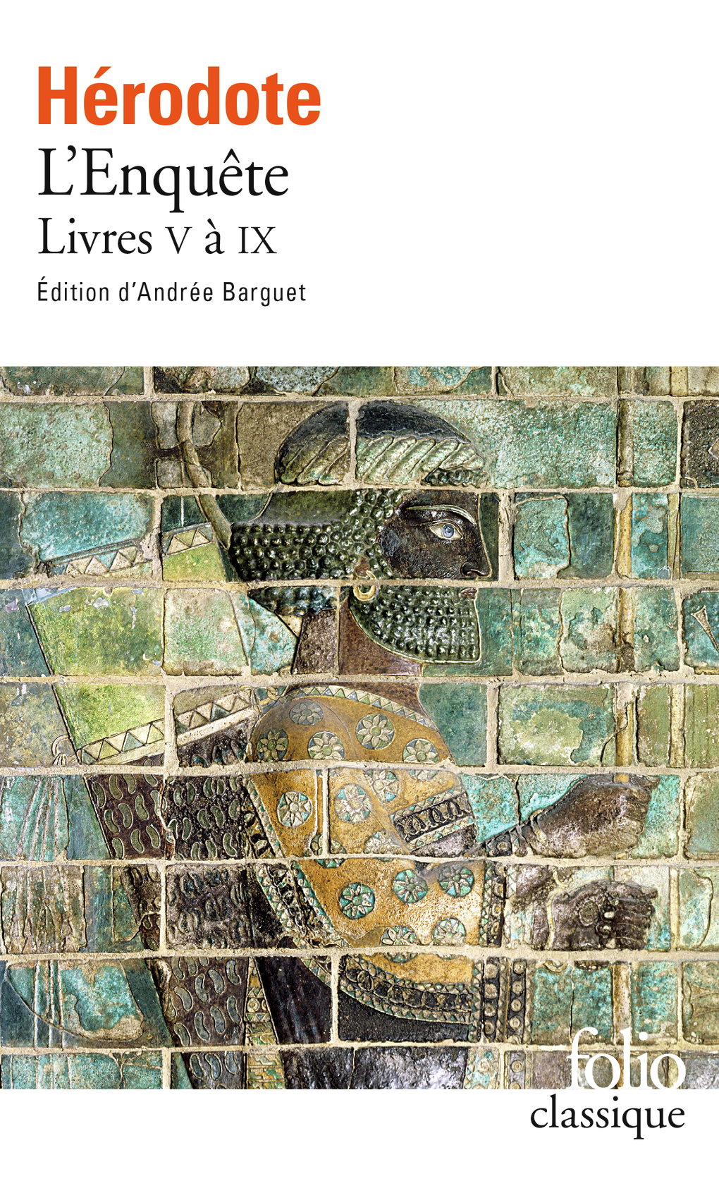 ENQUETE (LIVRES V A IX)