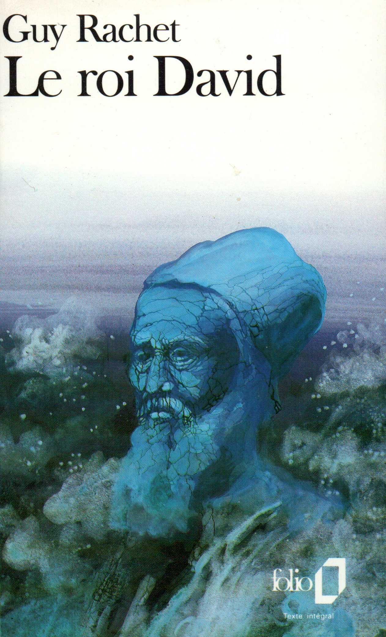 ROI DAVID