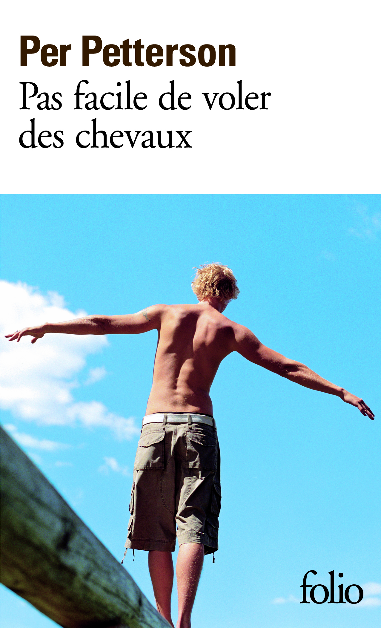 PAS FACILE DE VOLER DES CHEVAUX