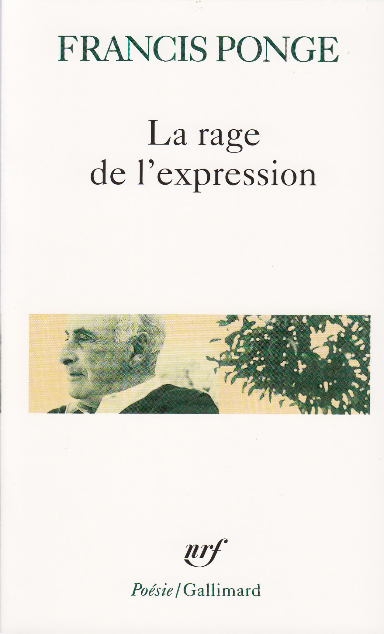 RAGE DE L'EXPRESSION