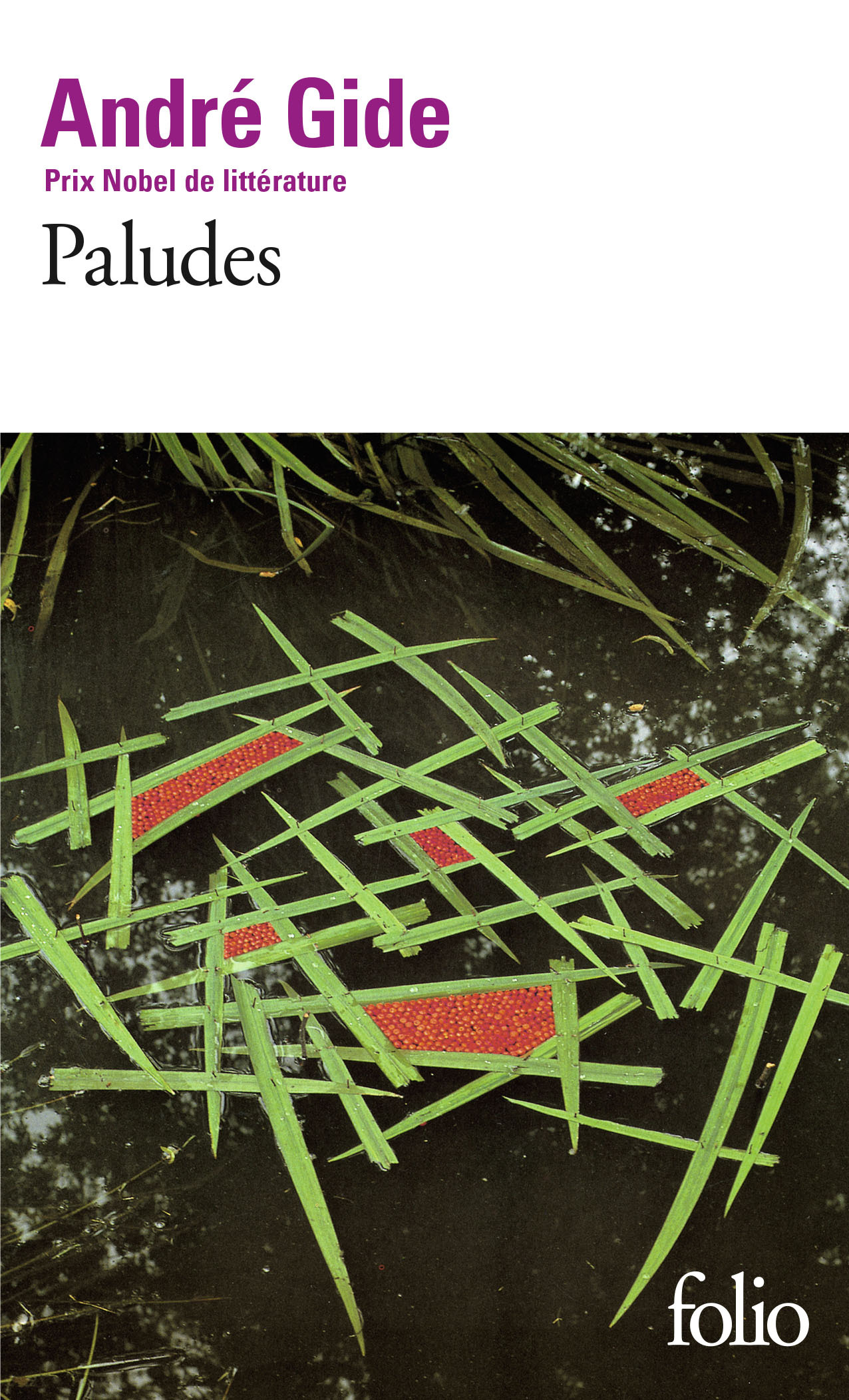 PALUDES