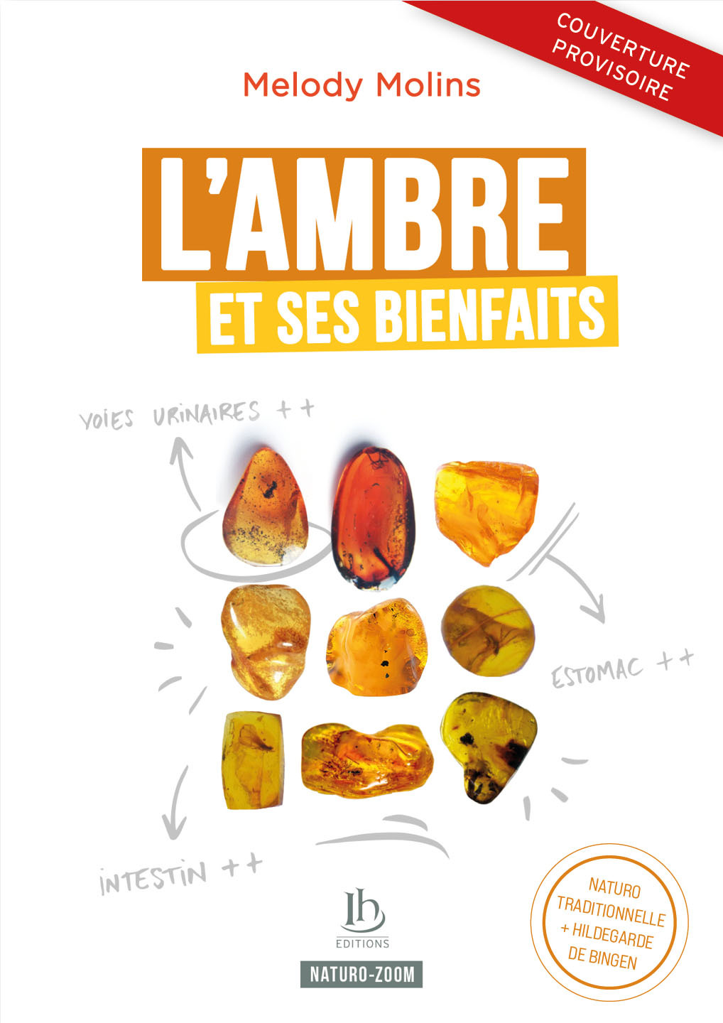 AMBRE ET SES BIENFAITS - NATURO CLASSIQUE & HILDEGARDE DE BINGEN