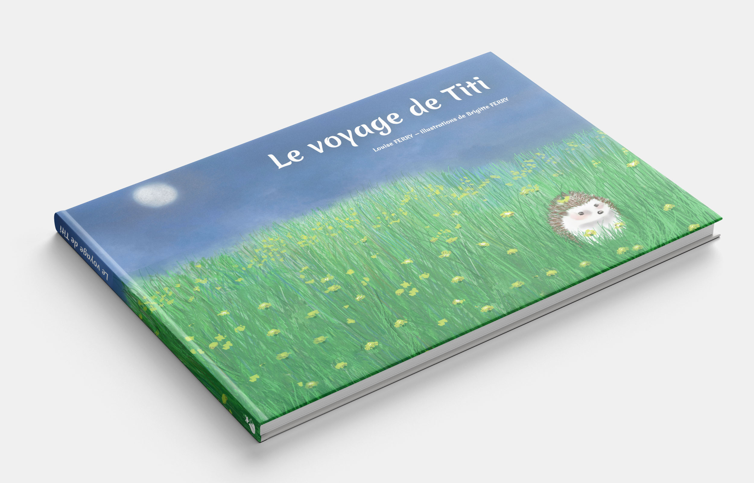 VOYAGE DE TITI