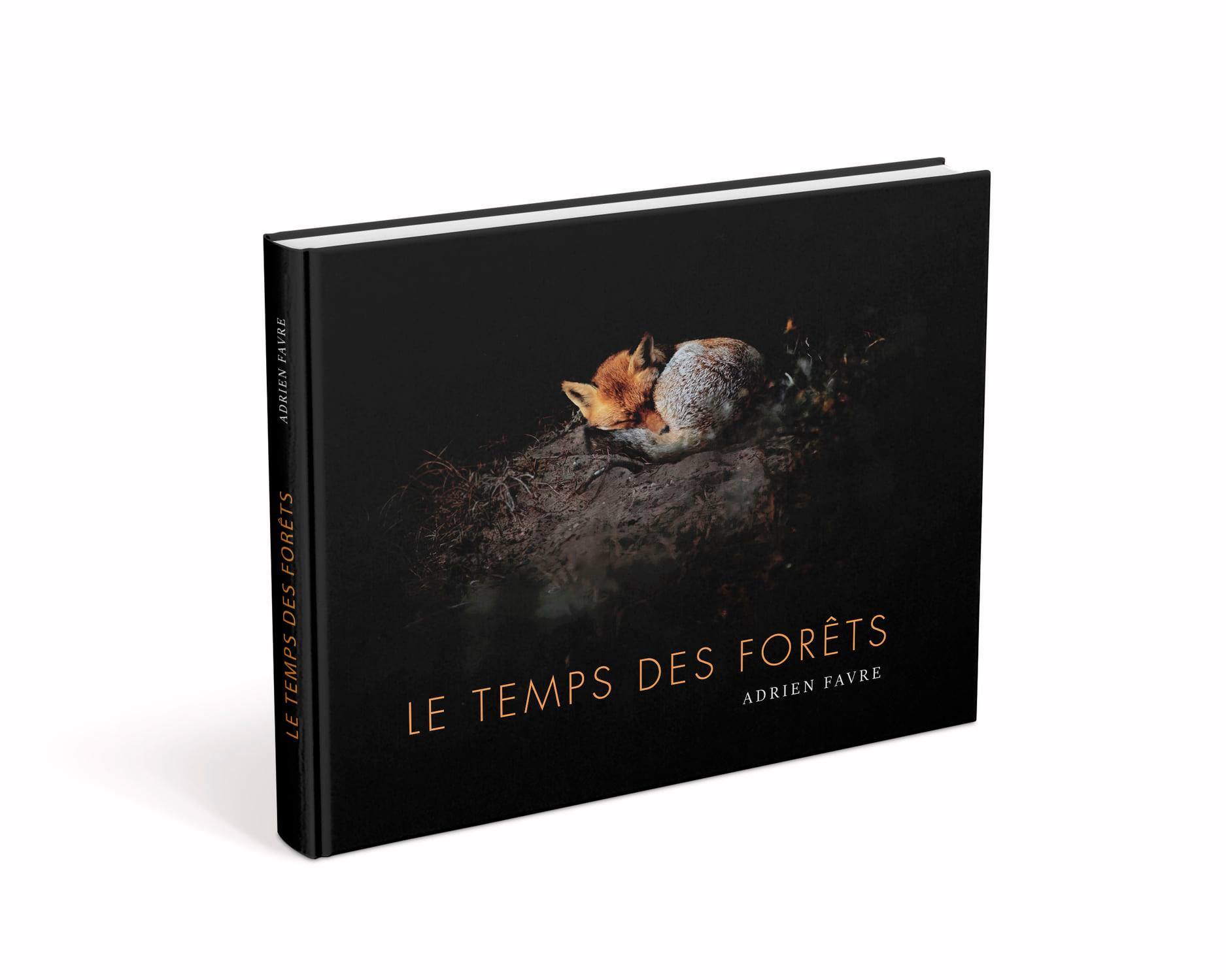 TEMPS DES FORETS