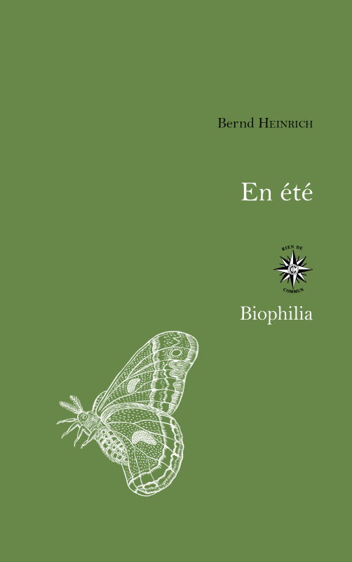 EN ETE - UNE SAISON D´ABONDANCE