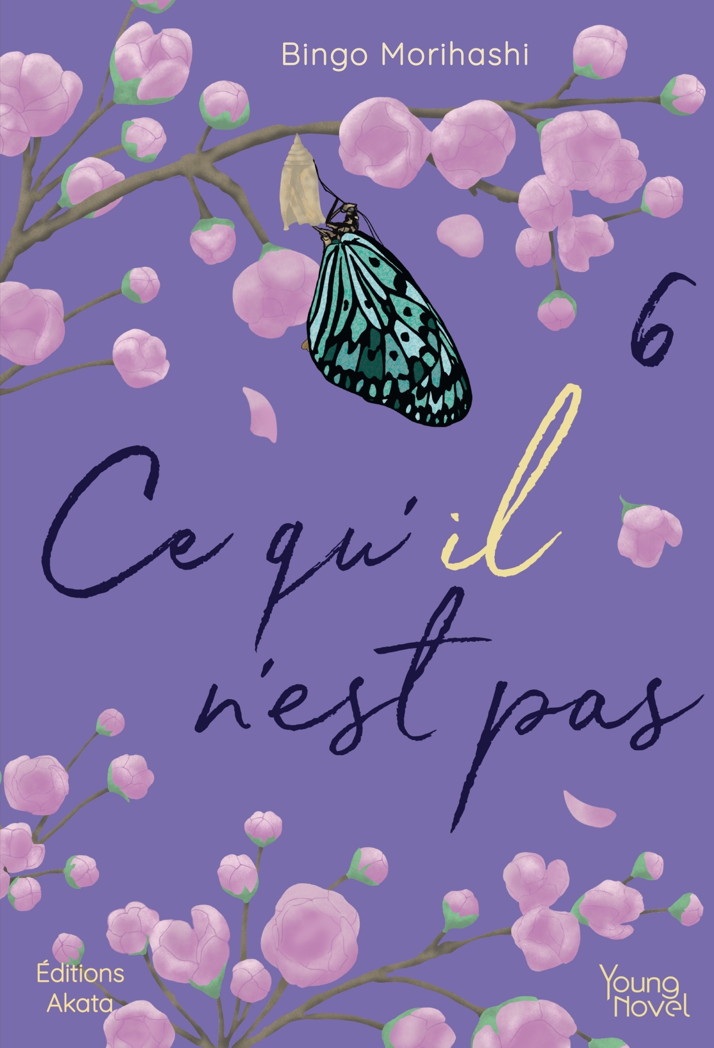 CE QU´IL N´EST PAS - TOME 6 - VOL06