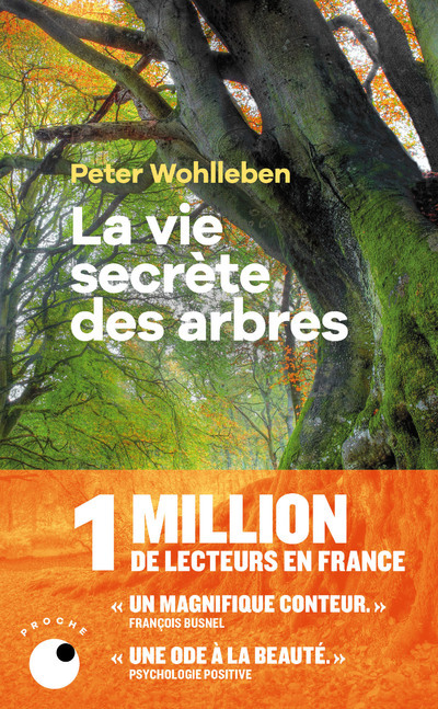 VIE SECRETE DES ARBRES