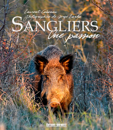 SANGLIERS, UNE PASSION