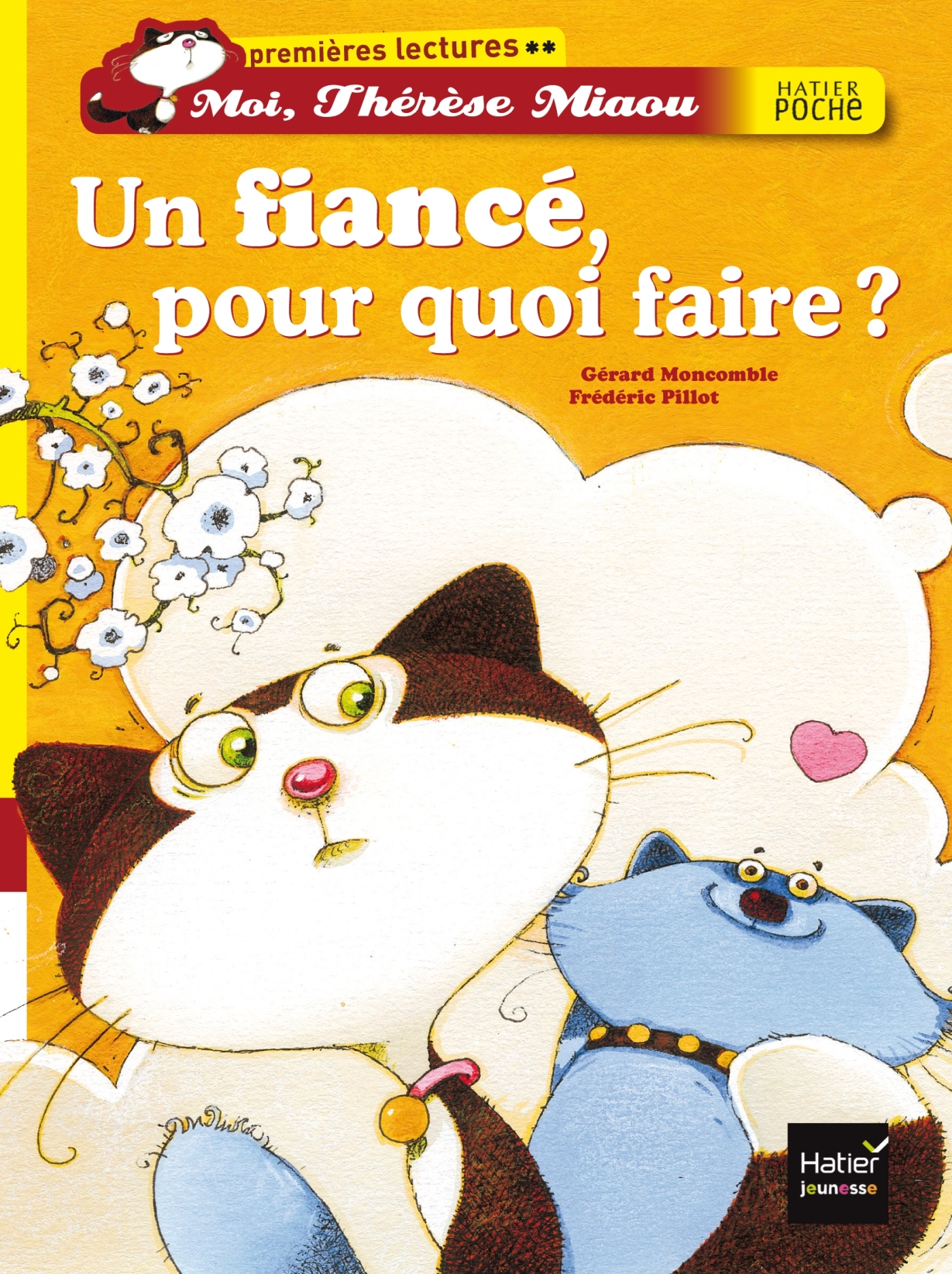 FIANCE, POUR QUOI FAIRE ?
