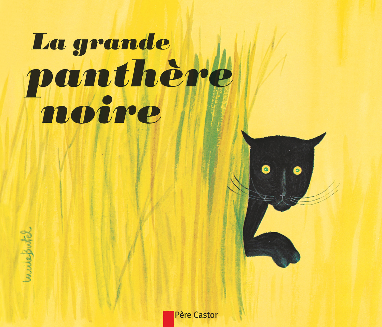GDE PANTHERE NOIRE