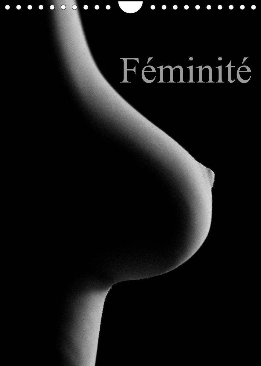 FEMINITE (CALENDRIER MURAL 2022 DIN A4 VERTICAL) - PRISES EROTIQUES DU CORP