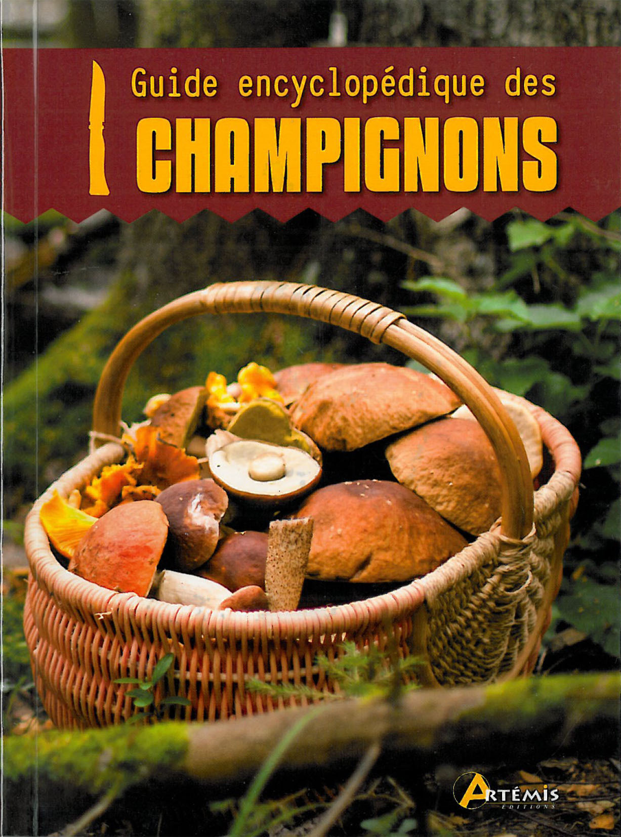 GUIDE ENCYCLOPEDIQUE CHAMPIGNONS