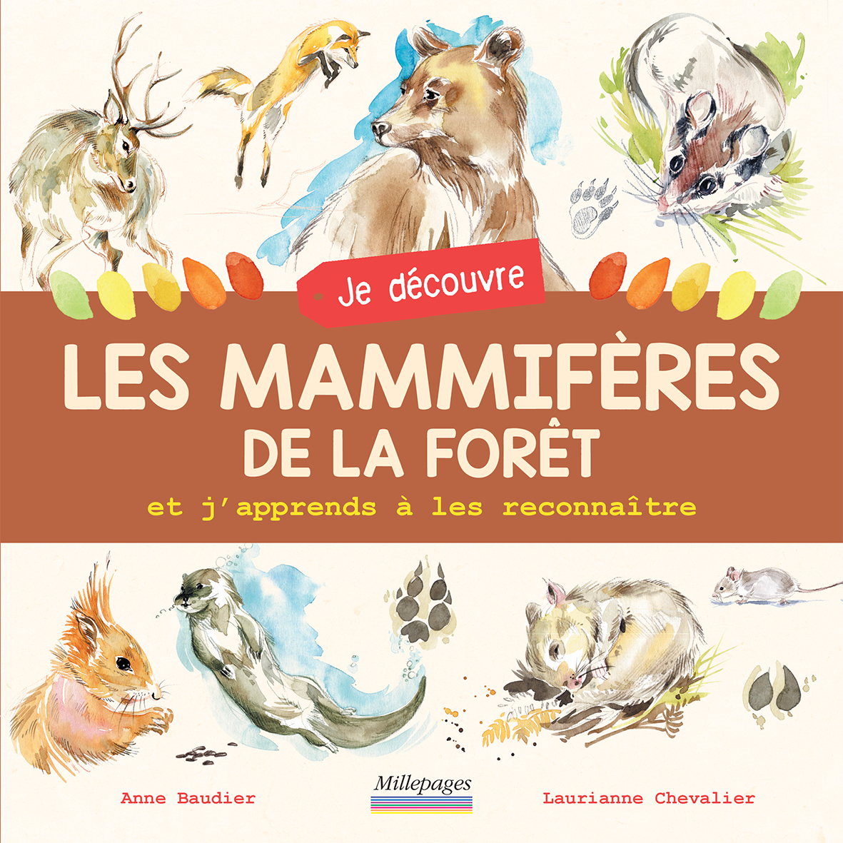 JE DECOUVRE LES MAMMIFERES DE LA FORET