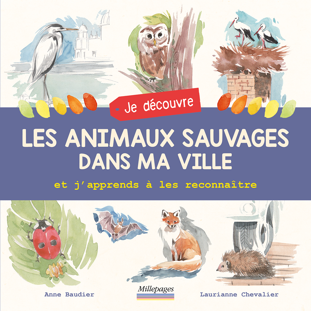 JE DECOUVRE LES ANIMAUX SAUVAGES DANS MA VILLE ET J´APPRENDS A LES RECONNAI