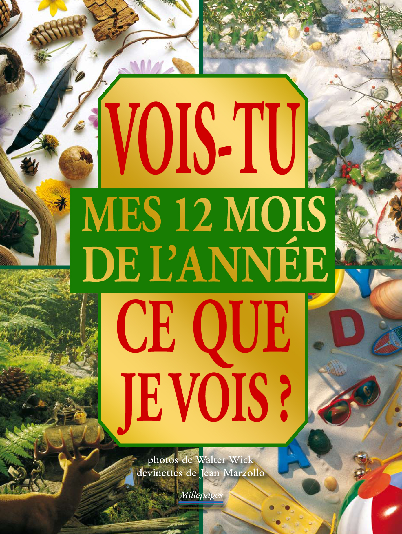 VOIS TU CE QUE JE VOIS ? MES 12 MOIS DE L'ANNEE