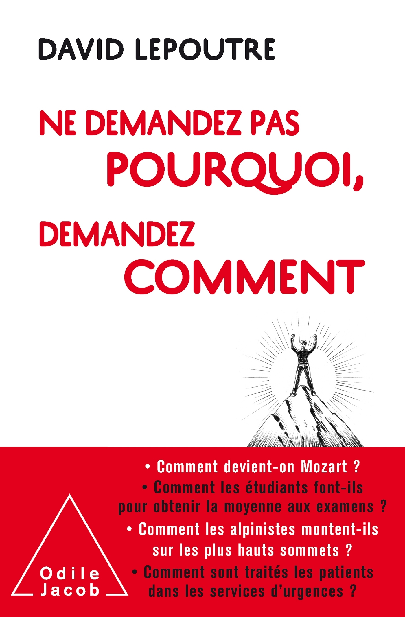 NE DEMANDEZ PAS POURQUOI, DEMANDEZ COMMENT