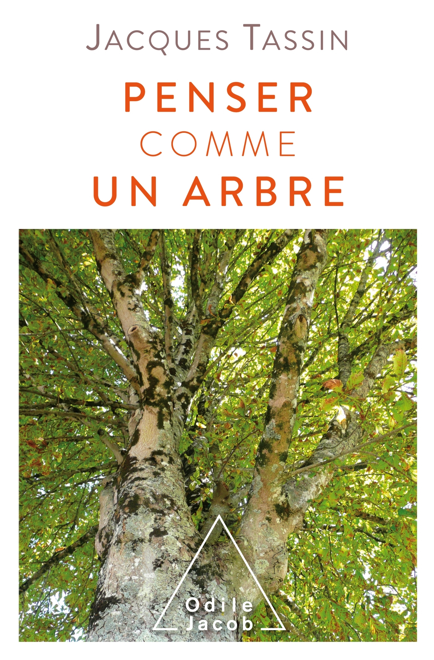 PENSER COMME UN ARBRE