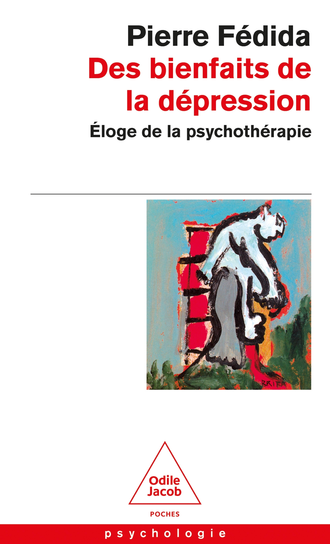 DES BIENFAITS DE LA DEPRESSION ELOGE DE LA PSYCHOTHERAPIE