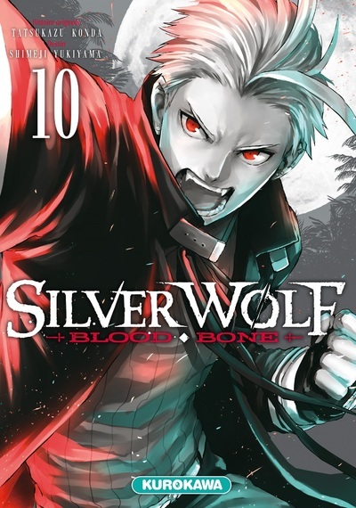SILVER WOLF - BLOOD BONE - TOME 10 - VOL10