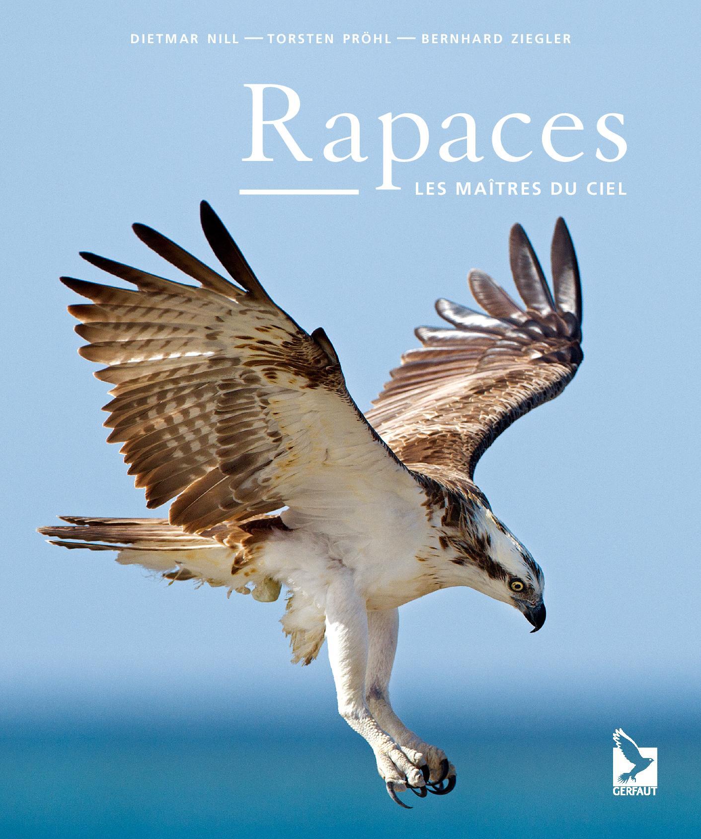RAPACES - LES MAITRES DU CIEL