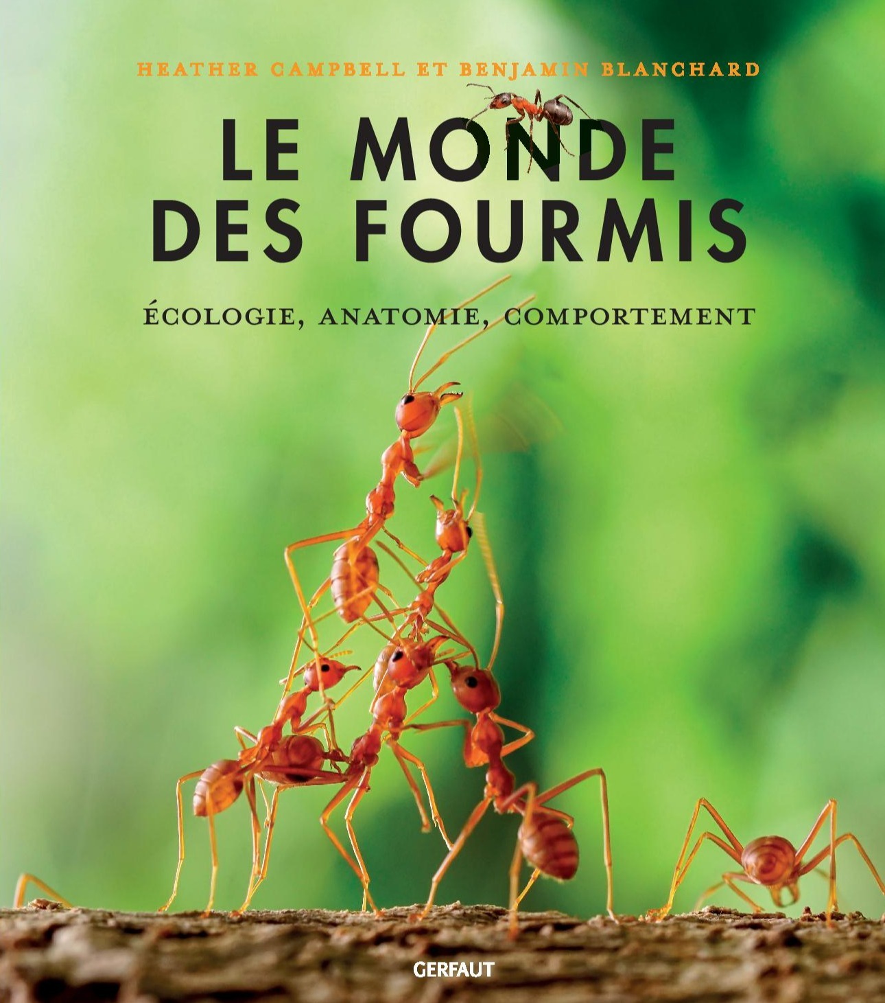 MONDE DES FOURMIS - ECOLOGIE, ANATOMIE, COMPORTEMENT
