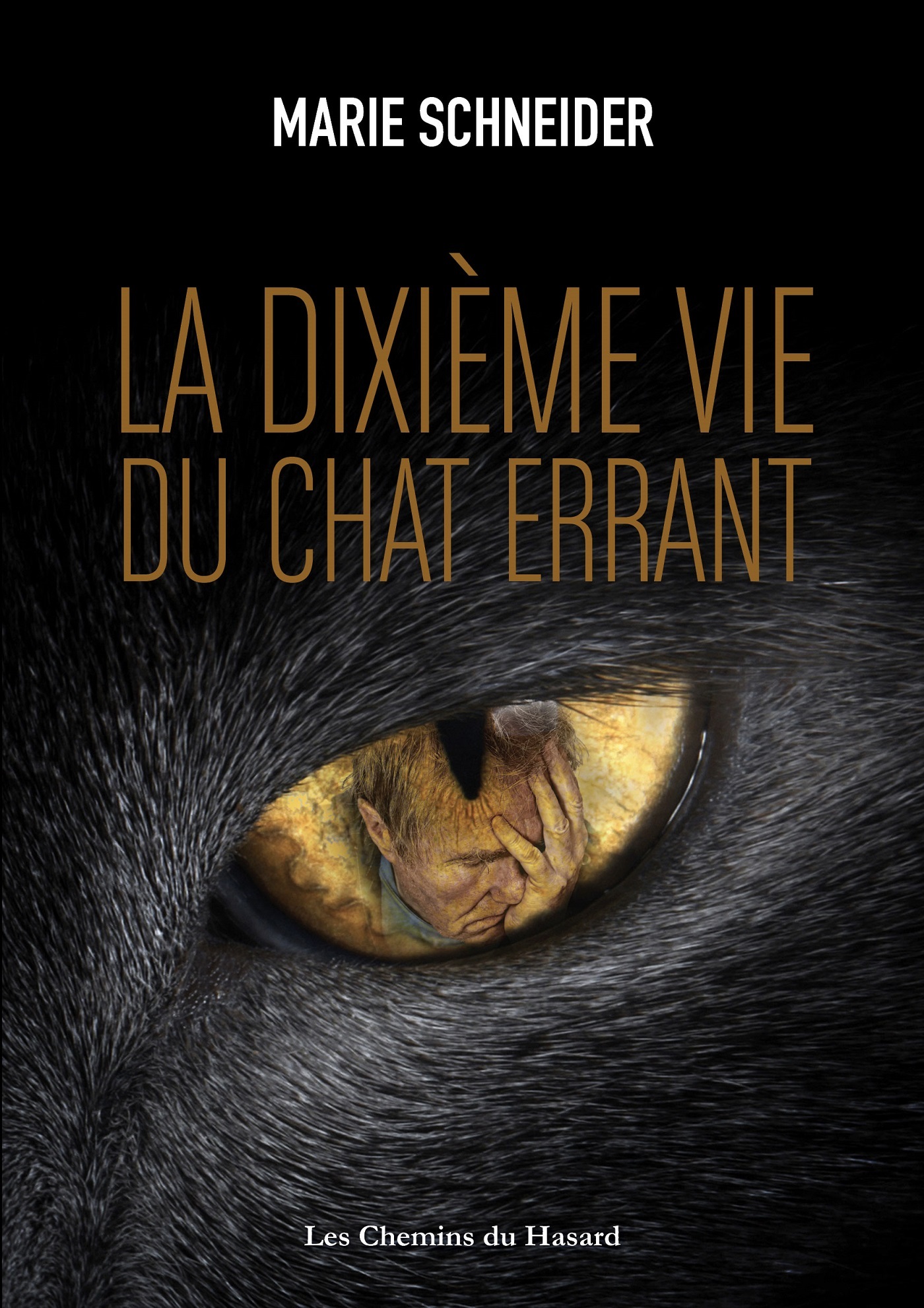 DIXIEME VIE DU CHAT (LA)