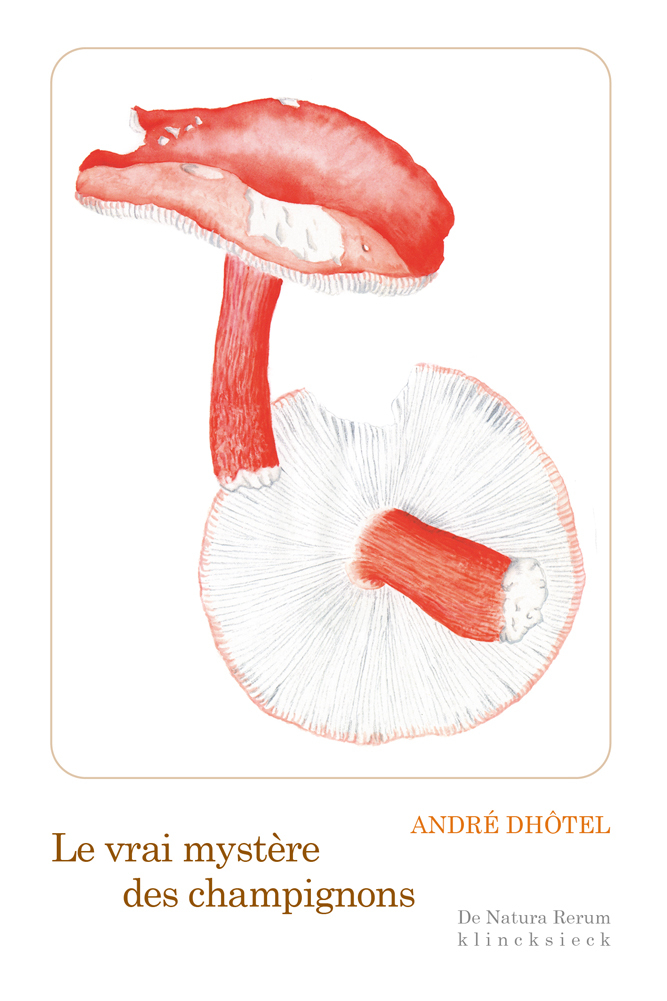 VRAI MYSTERE DES CHAMPIGNONS - ILLUSTRATIONS, NOIR ET BLANC