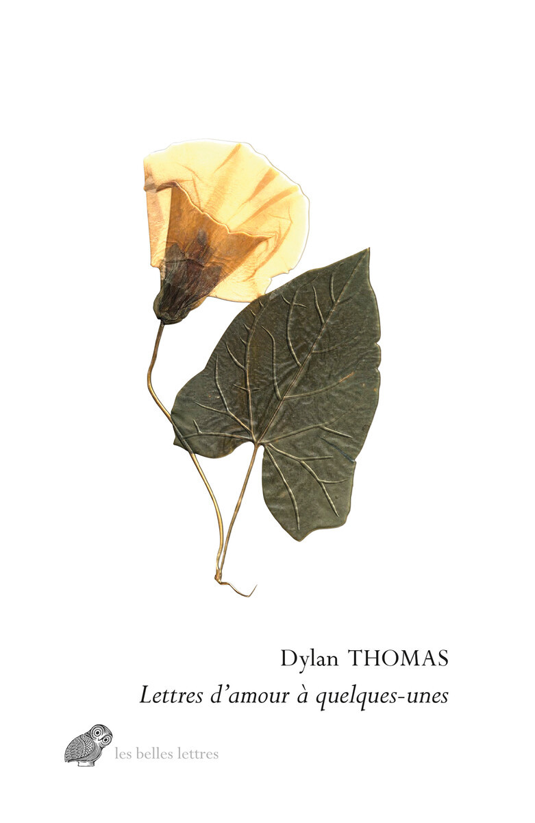 LETTRES D AMOUR A QUELQUES-UNES
