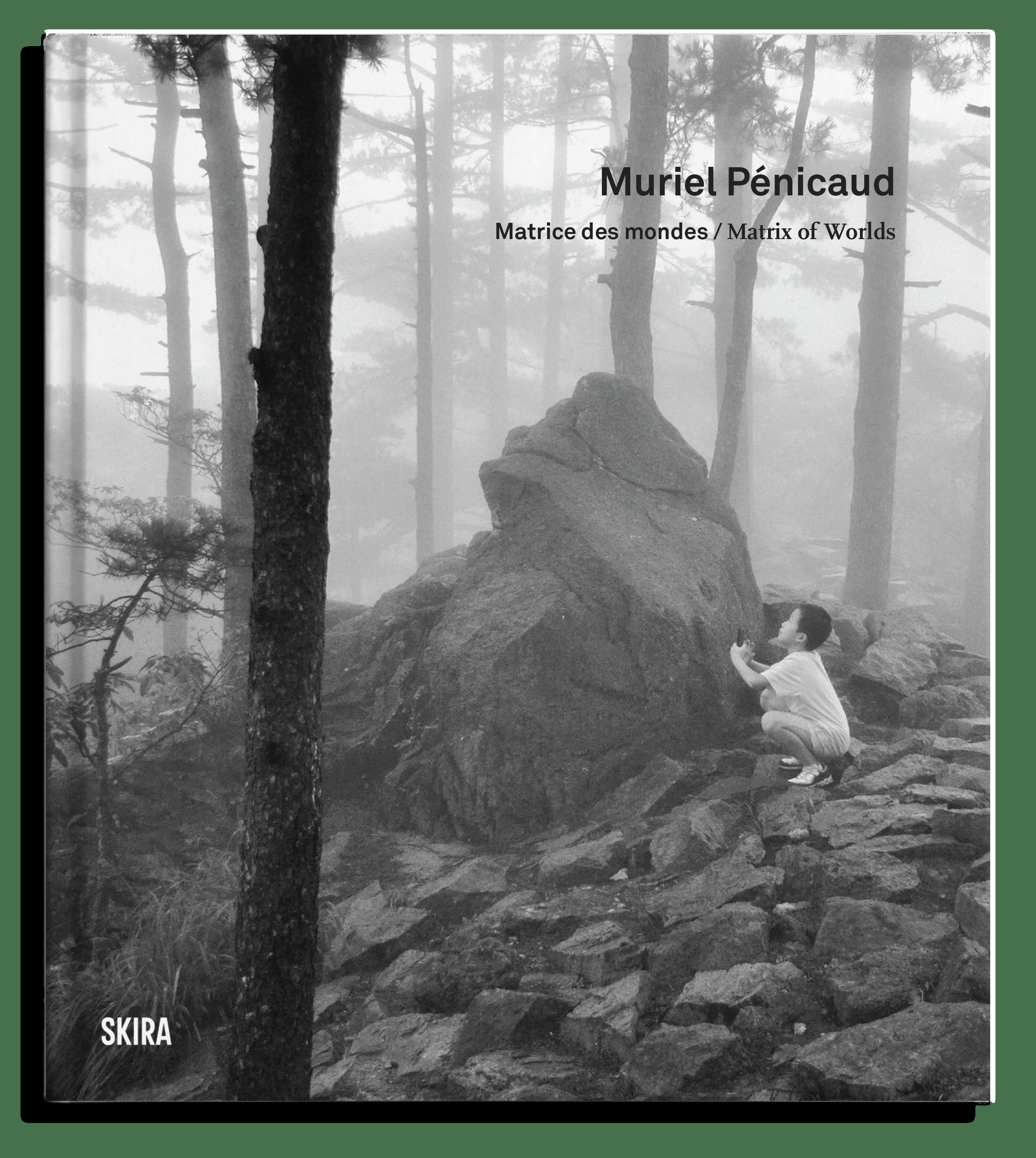 MURIEL PENICAUD. MATRICE DES MONDES / MATRIX OF WORLDS