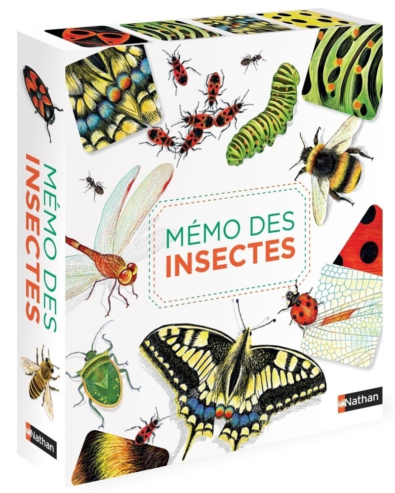 MEMO DES INSECTES